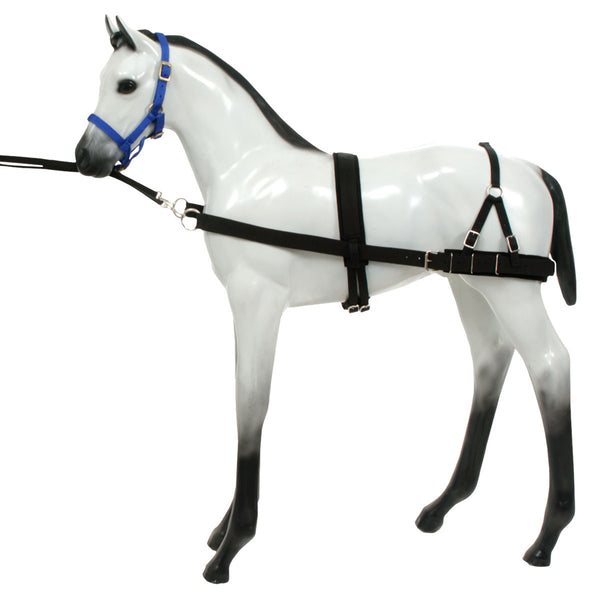 Tough 1 Foal Training Device